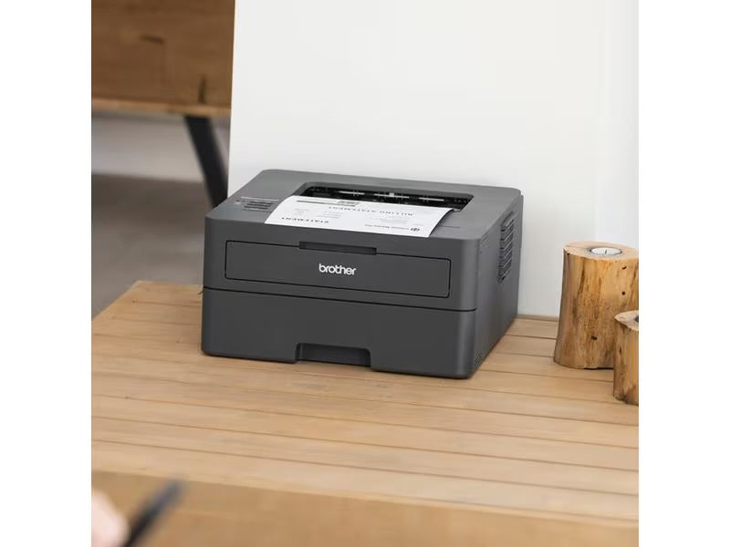 Brother printer HL-L2400DW