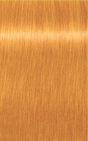 Igora Royal 0-55 Gold Konzentrat