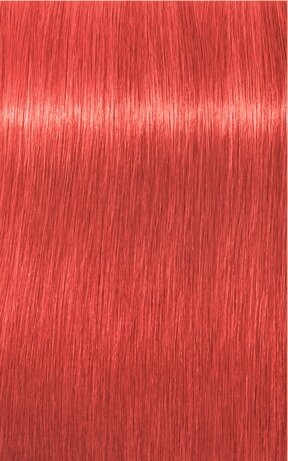 Igora Royal 0-88 Rot Konzentrat