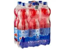 Knutwiler Himbeer Melisse 6x1.5L